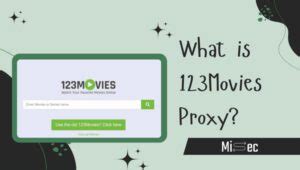 go movies proxy|123Movies Proxy Mirror Sites: Unblock in December 2024